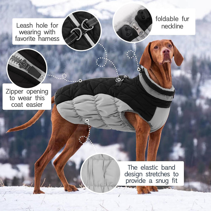 Kuoser Hundejacke Hundemantel für Mittelgrosse Hunde Winterweste Wasserdicht Wintermantel Mit Geschi