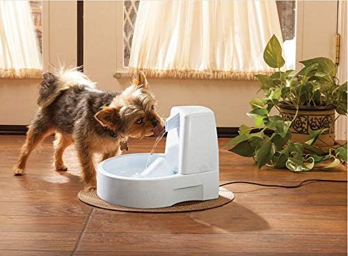 NEOUZA Kompatible Drinkwell Platinum Premium Kohlewasserfilter 12 Stück