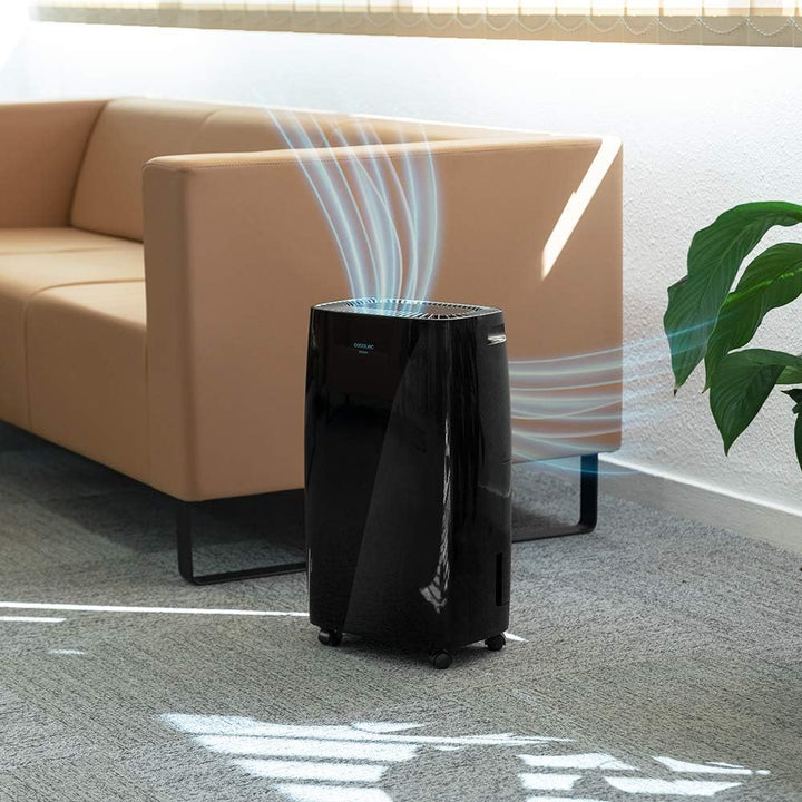Cecotec Big Dry 4000 Expert Luftentfeuchter mit Timer 24 h, 10 L/Tag, herausnehmbarer Tank 2,5 Liter