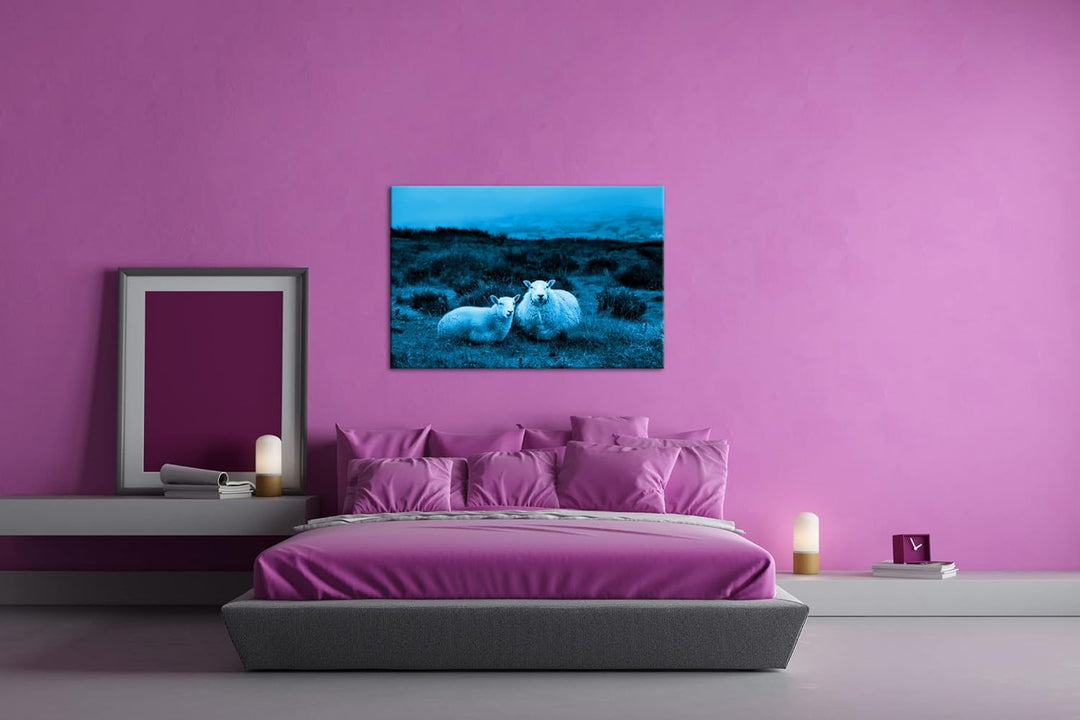 deyoli zwei niedliches Schafe Format: 80x60 Effekt: Monocrome Blau als Leinwandbild, Motiv fertig ge