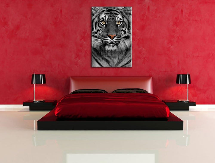Pixxprint Aufmerksamer Tiger als Leinwandbild/Grösse: 100x70 / Wandbild/Kunstdruck/fertig bespannt,