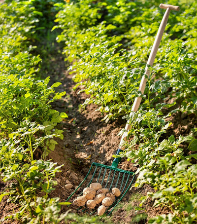 KADAX Kartoffelgabel, Forke, Heugabel, Spatengabel, Grabegabel, Mistgabel aus Stahl, Gabel für Karto