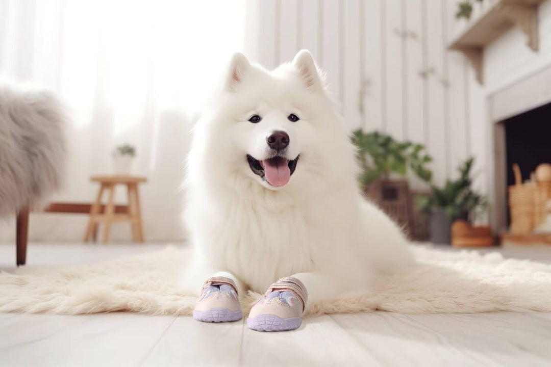 Truelove Hundeschuhe, wasserdicht, Pfotenschutz, Haustierschuhe mit reflektierenden Riemen, für klei