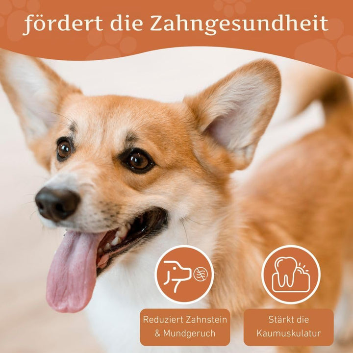 Wildfang® 3 Kauwurzel Hund (Grösse S) – Natürliches Kauholz aus Baumheide – Langlebiges & splitterfr