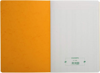 Exacompta 17040E Mehrkolonnenheft (DIN A4, 21 x 29,7 cm, gebunden mit 4 spalten auf 1 Seite und 34 Z