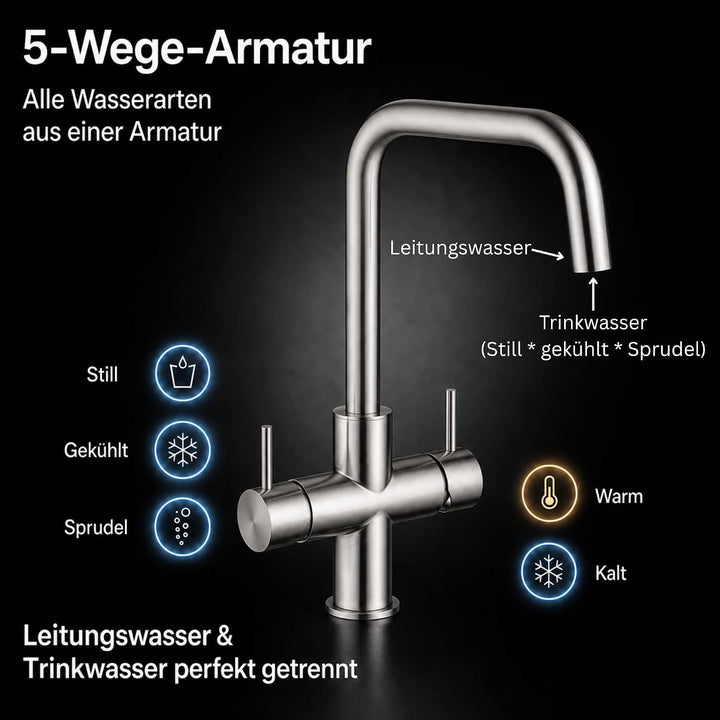 Untertisch Wassersprudler System INOX Trinkwassersprudler mit 5-Wege Wasserhahn Küche, Sprudelwasser
