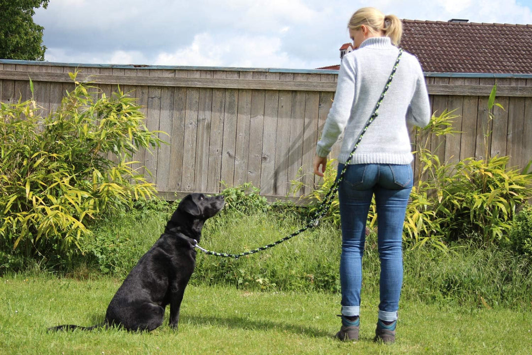 Activity4Dogs Geflochtene Hundeleine für grosse Hunde bis 60 kg | 4-Fach verstellbare Führleine | 2,