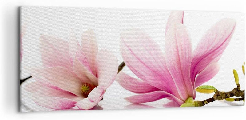 Wandbilder Dekoration Wohnzimmer Magnolie blume natur pflanze Panorama Bilder auf Leinwand 120x50cm