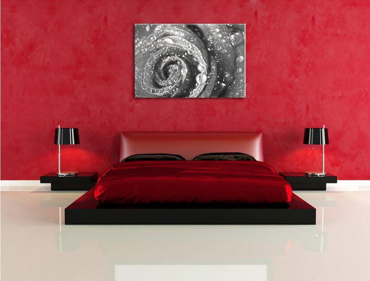 Pixxprint Rose mit Wassertropfen als Leinwandbild/Grösse: 100x70 cm/Wandbild/Kunstdruck/fertig bespa