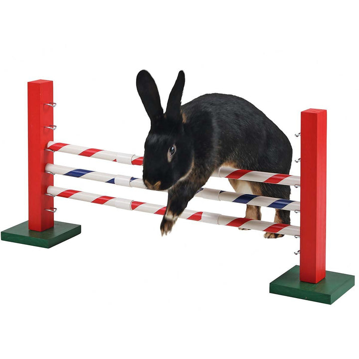 Kerbl 82859 Agility Steilsprung für Nager, 70 x 5 x 35 cm, 1 Stück (1er Pack)