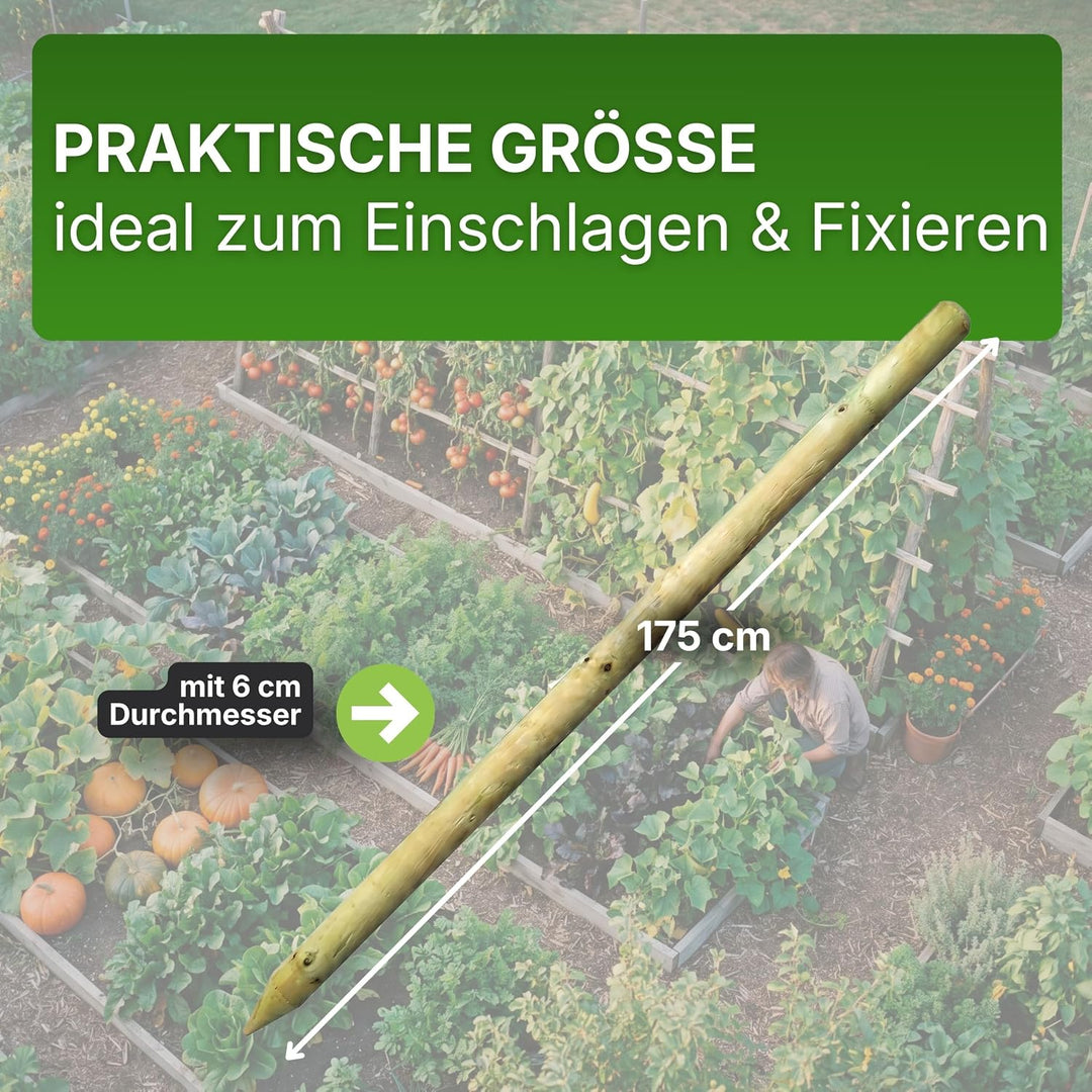 Gartenwelt Riegelsberger Pfahl Ø 6 cm Länge 175 cm 10 Stück Holzpfahl Kiefer imprägniert Kiefernholz