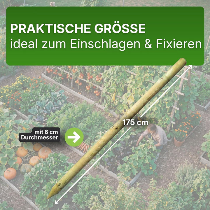 Gartenwelt Riegelsberger Pfahl Ø 6 cm Länge 175 cm 10 Stück Holzpfahl Kiefer imprägniert Kiefernholz