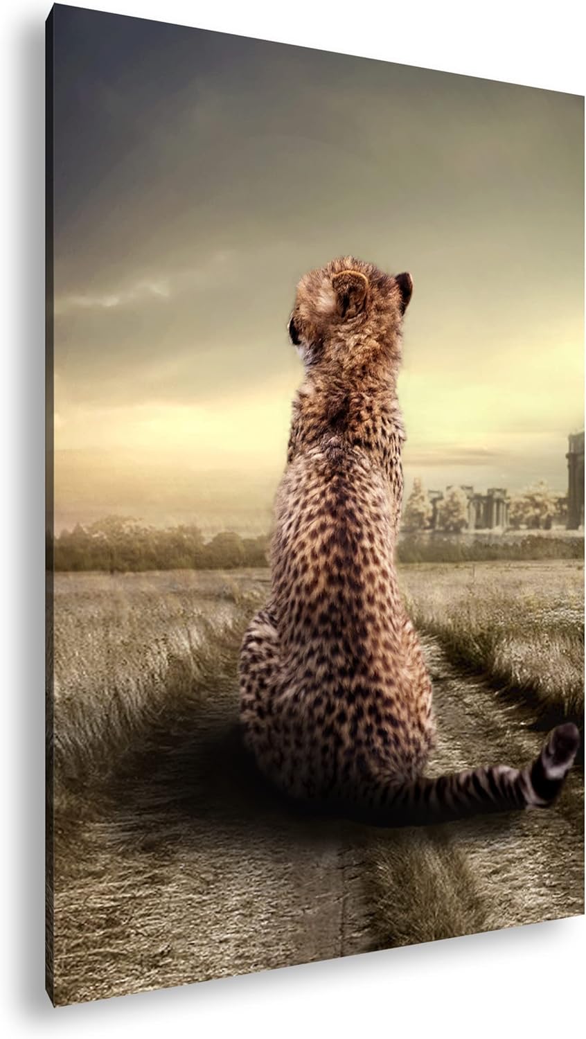 deyoli einsamer Gepard in schöner Landschaft im Format: 100x70 als Leinwandbild, Motiv fertig gerahm