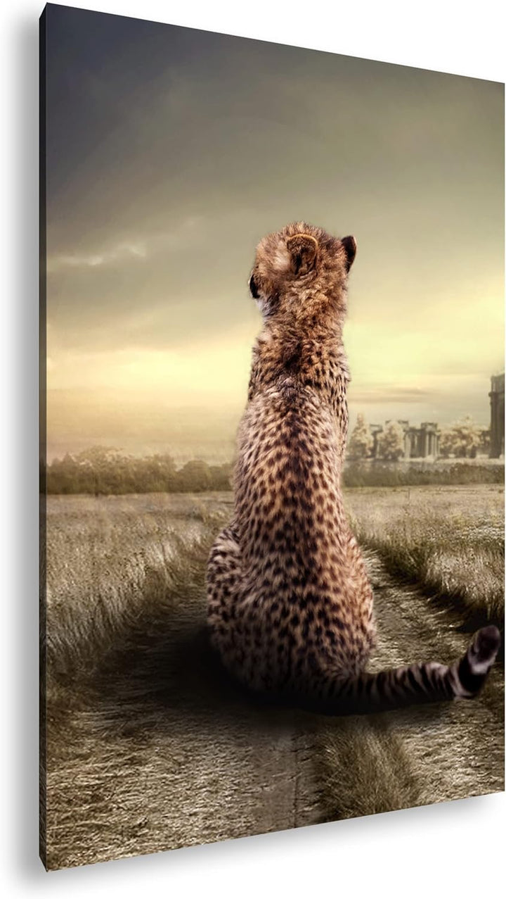 deyoli einsamer Gepard in schöner Landschaft im Format: 100x70 als Leinwandbild, Motiv fertig gerahm