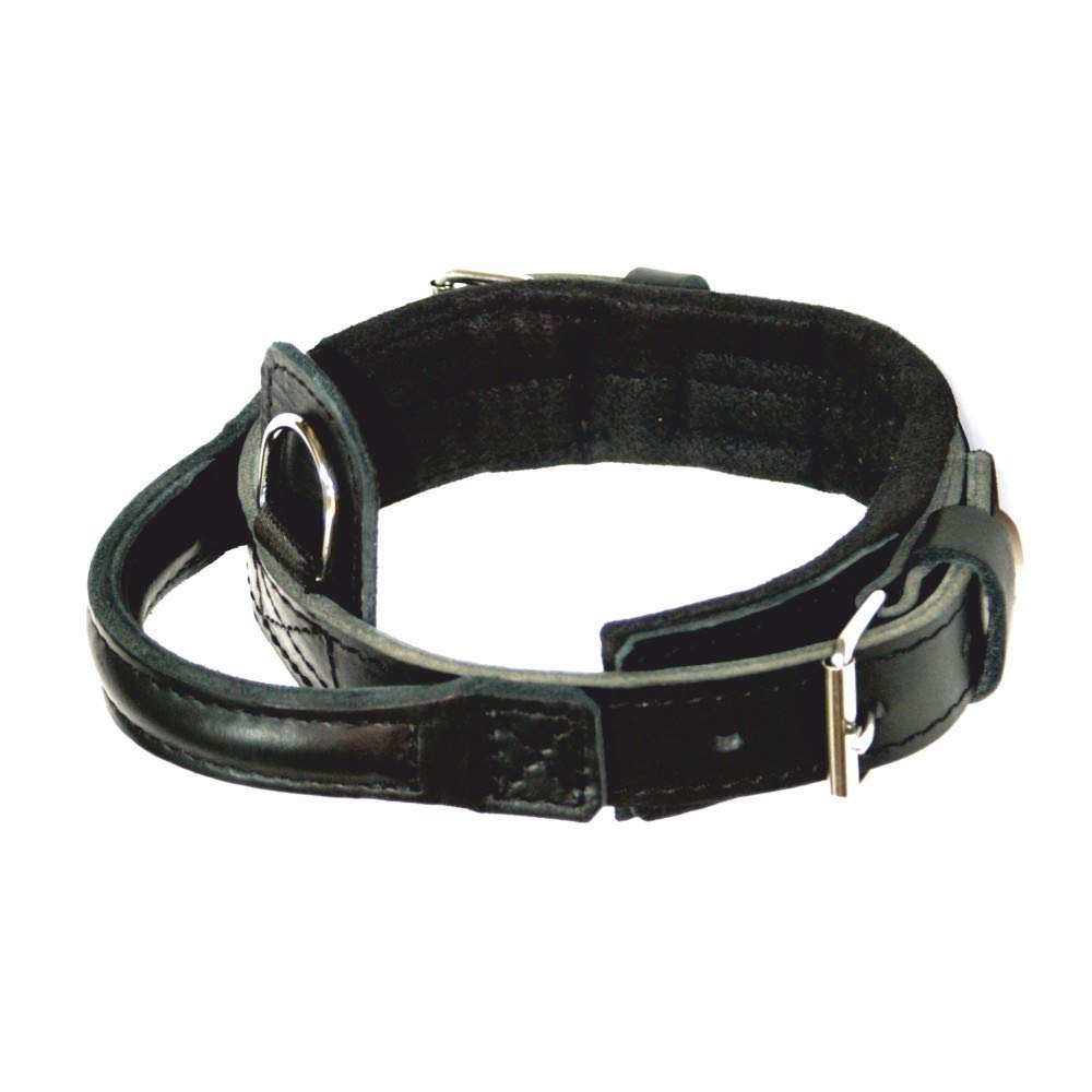 Dingo Gear Hundehalsband Heros aus Leder Grosse 40-52 cm handgefertigt, starker Griff, verstellbar,S
