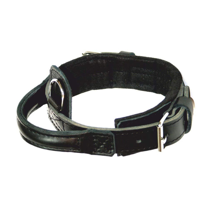Dingo Gear Hundehalsband Heros aus Leder Grosse 40-52 cm handgefertigt, starker Griff, verstellbar,S