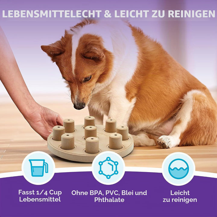 Outward Hound Nina Ottosson Dog Smart Treat Puzzle Enrichment Toy, Level 1 Beginner, Tan, Composite,