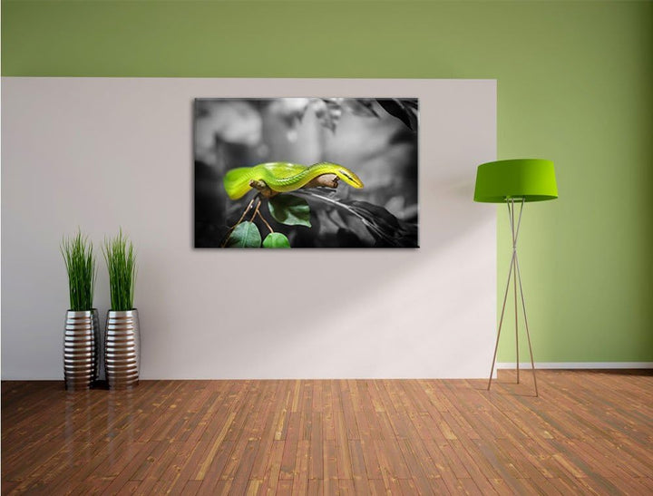 Pixxprint Raue grüne Schlange als Leinwandbild/Grösse: 100x70 / Wandbild/Kunstdruck/fertig bespannt,