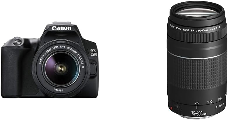Canon EOS 250D Digitalkamera - mit Objektiv EF-S 18-55mm F4-5.6 is STM & EF 75-300mm F4.0-5.6 III Zo