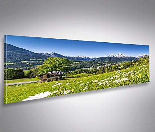 islandburner Bild Bilder auf Leinwand Alpenwiese Alpen Bayern Panorama XXL Poster Leinwandbild Wandb