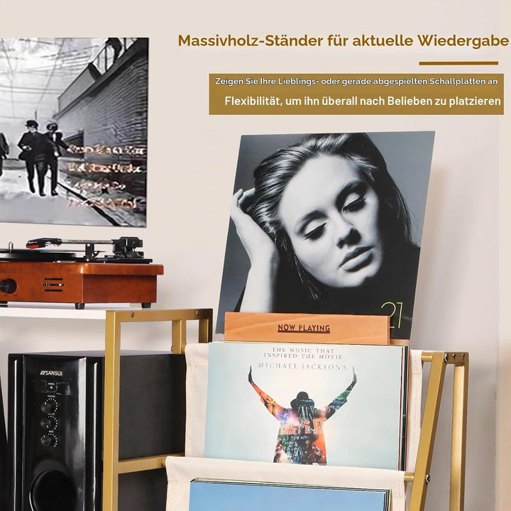 HYCFYJR Plattenspieler Ständer, Schallplatten Aufbewahrung mit 3-stufiger Vinyl Halter, Schallplatte