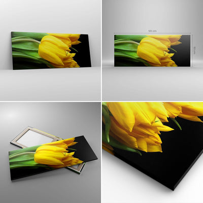 Wandbilder Dekoration Wohnzimmer Tulpen Strauss Spiegelreflexion grün Bilder auf Leinwand 120x50cm L