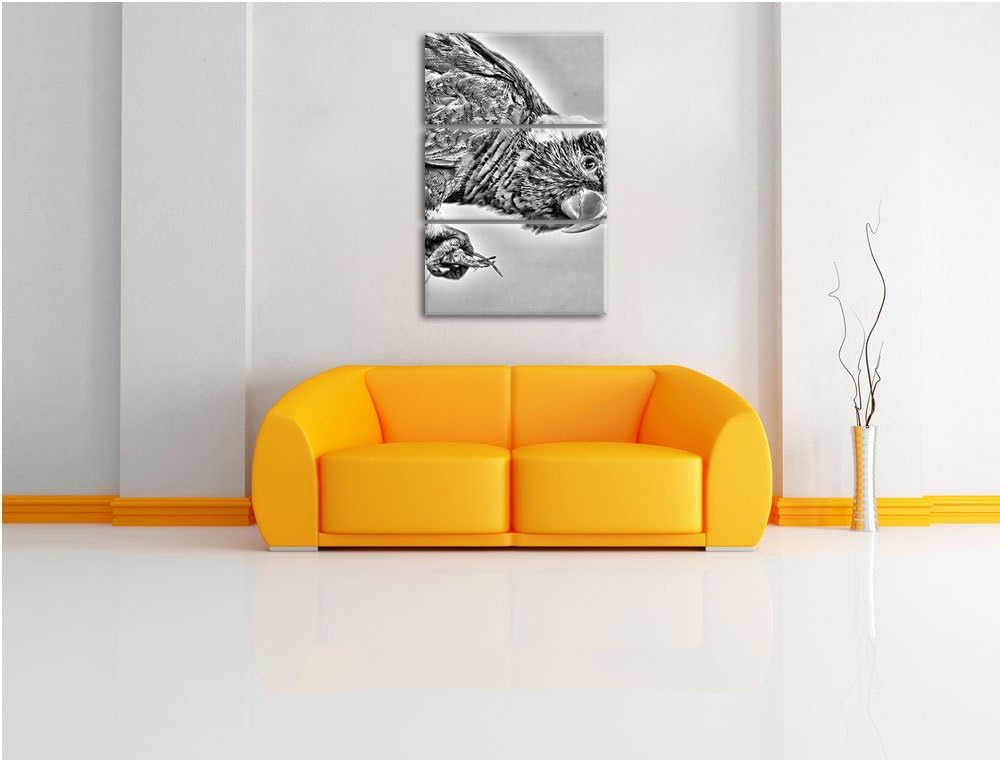 Pixxprint Edelpapagei auf AST als Leinwandbild/Grösse: 3 Teilig (120x80) cm/Wandbild/Kunstdruck/fert