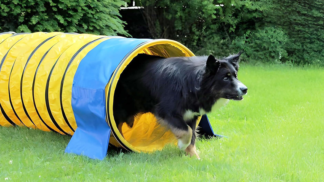 Profi Agility Tunnel für Hunde 5m – Ø60cm - 360° flexibel inkl. Stützsandsäcke – nach FCI-Standard –
