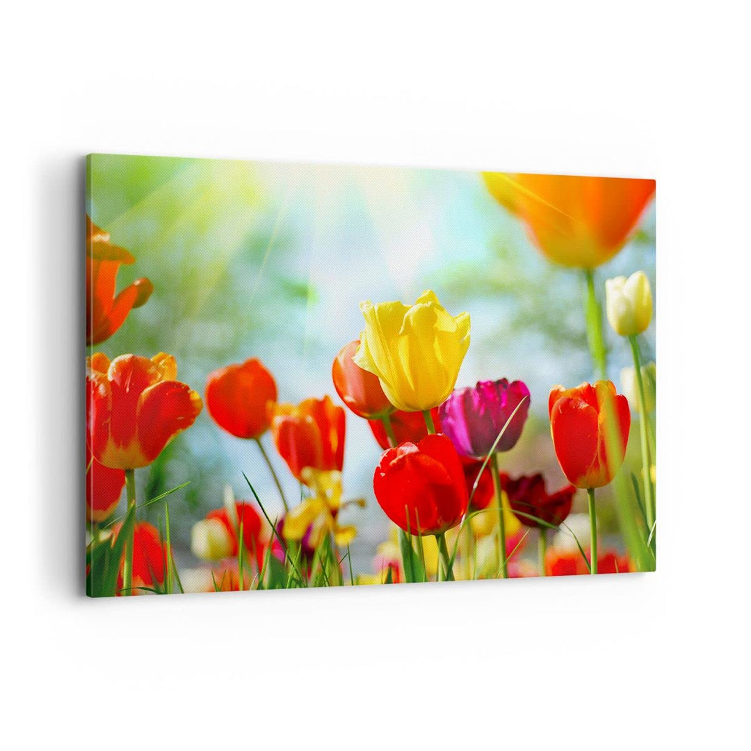 Bilder auf Leinwand 100x70cm Leinwandbild Tulpe Blume Plantage Wiese Gross Wanddeko Bild Schlafzimme