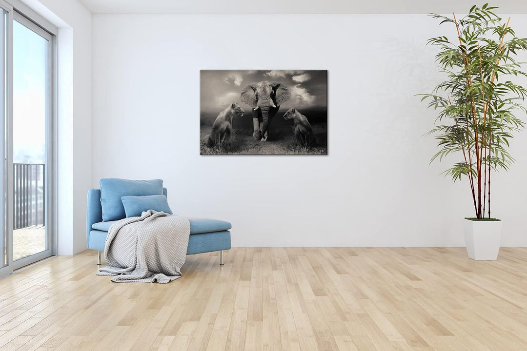 Tiere der Safarie Format: 80x60 als Leinwandbild, Motiv fertig gerahmt auf Echtholzrahmen, Hochwerti