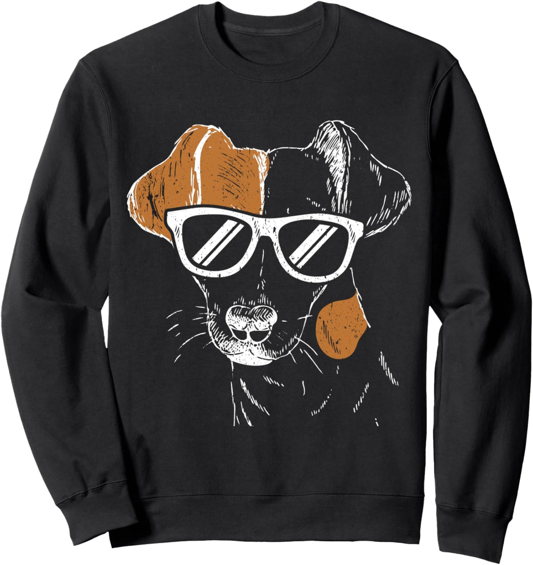 Jack Russel Terrier im Sweatshirt