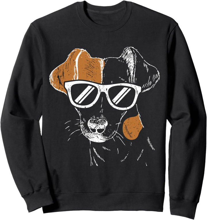 Jack Russel Terrier im Sweatshirt
