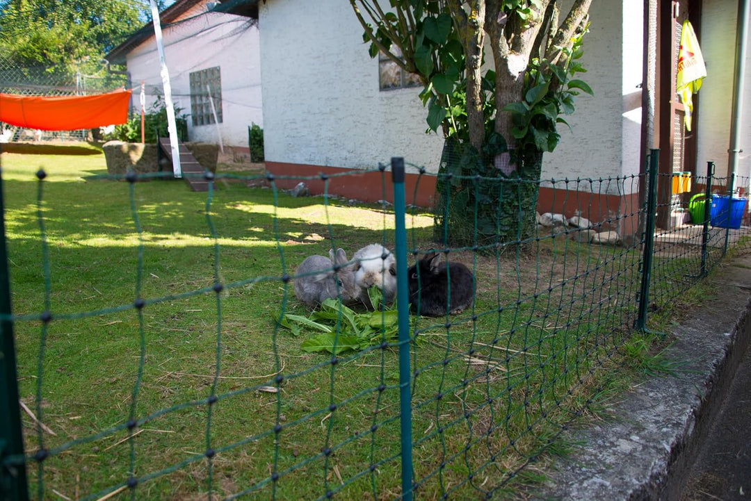 Kaninchen- und Katzennetz, grün, 50cm hoch, 25m lang