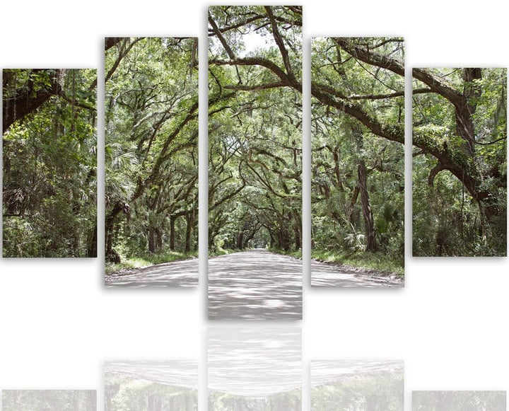 Feeby Wanddeko XXL Natur Leinwandbild 5 Teilig Landschaft Bäume Weg Allee grün 100x70 cm Leinwandbil