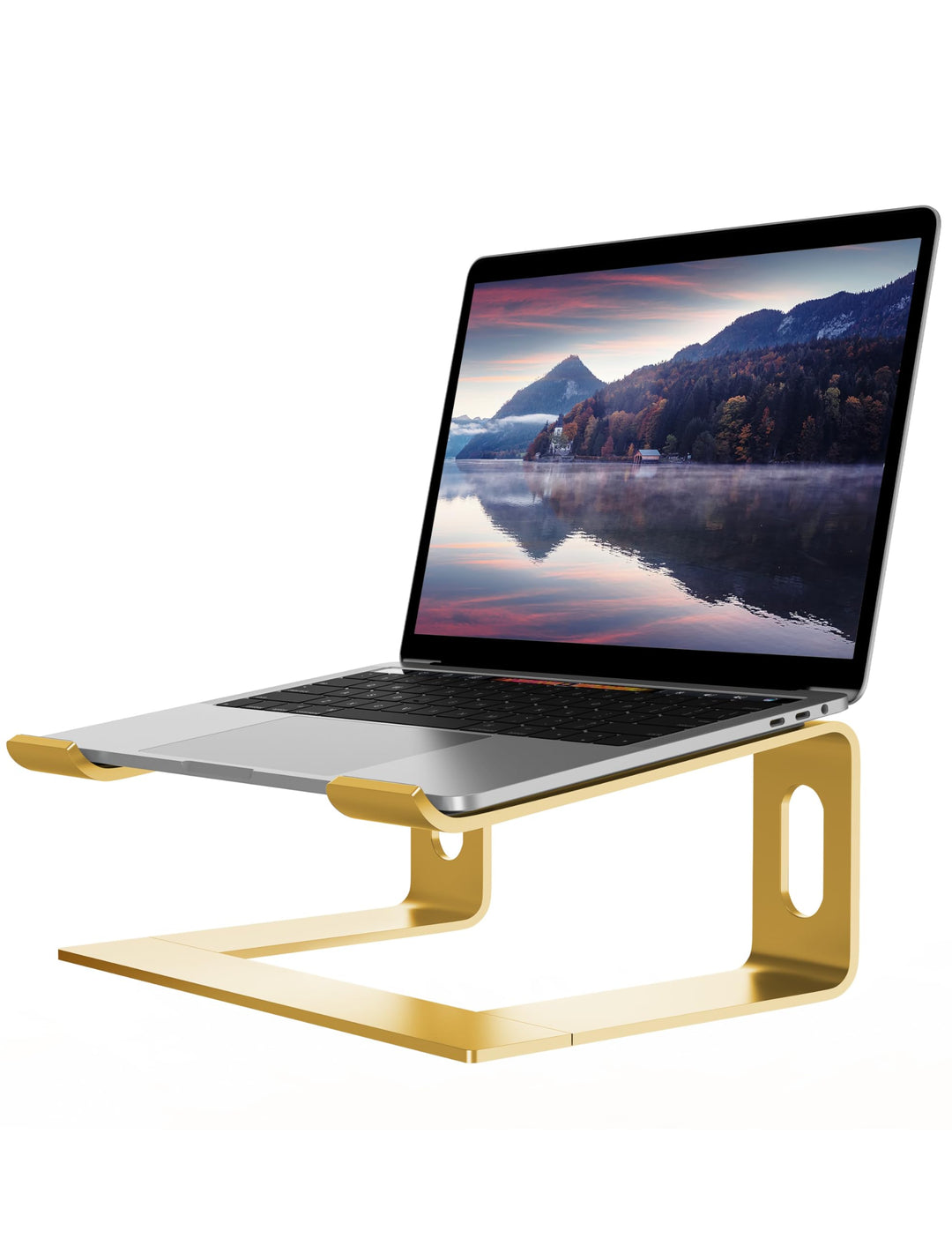 ALASHI Laptop-Ständer für Schreibtisch, Aluminium-Computer-Erhöhung, ergonomischer Notebook-Halter,