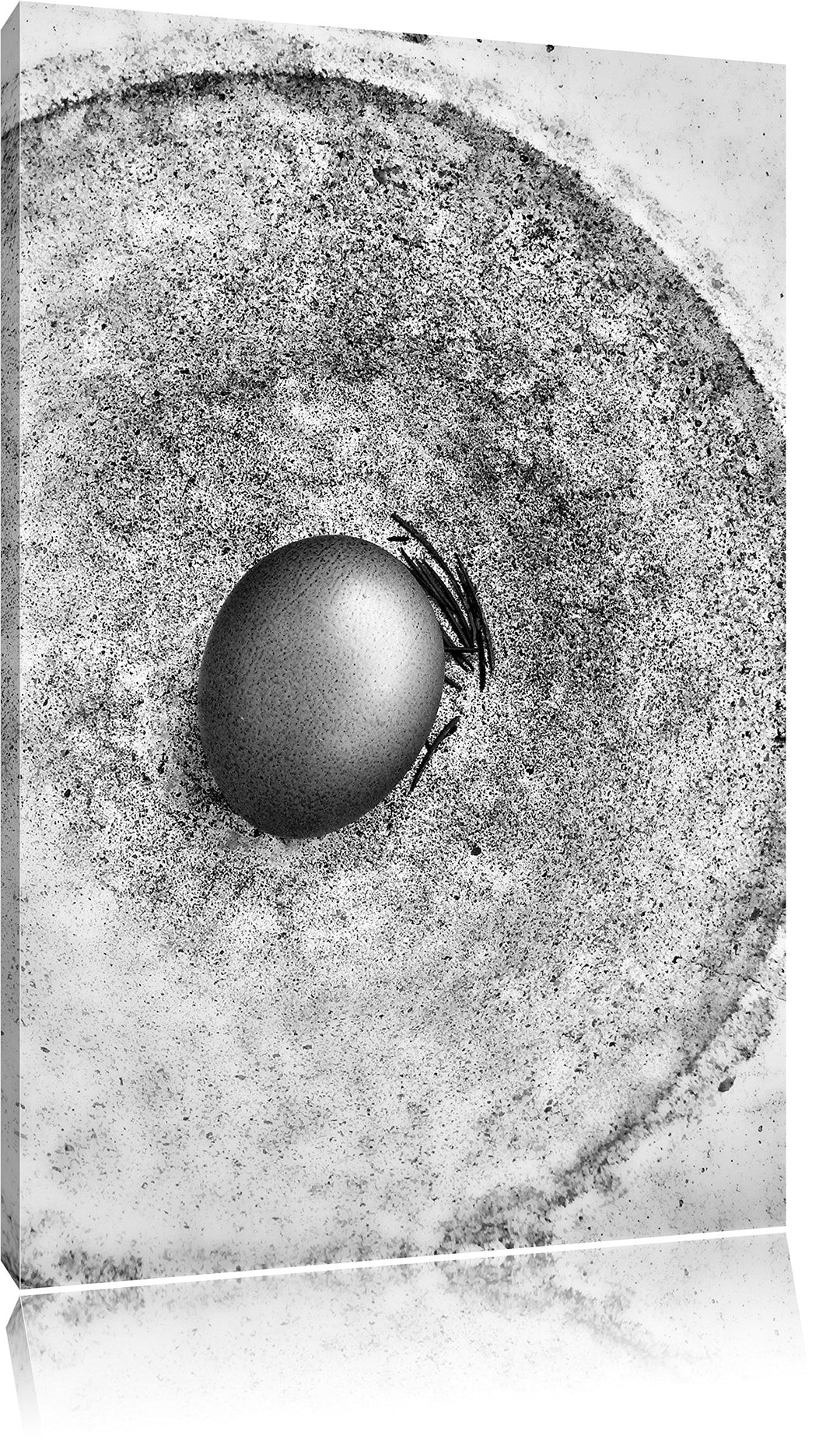 Pixxprint Monocrome, braunes Ei in Keramikschale, Format: 100x70 auf Leinwand, 100x70