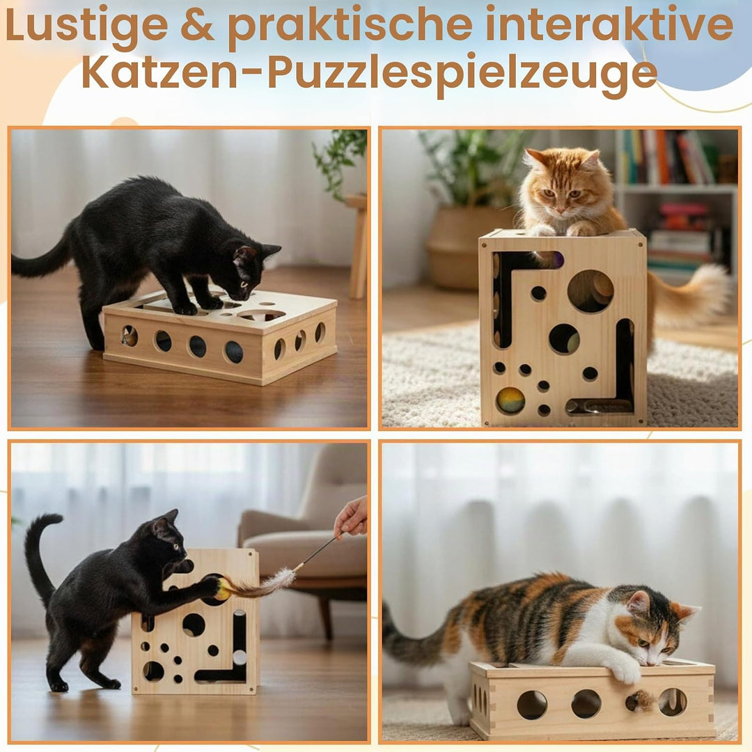 Kratzbretter Katze Katzenkratzpuzzle Anreicherungsbox, Massivholz Katzen Kratzbrett mit Lustigen Löc