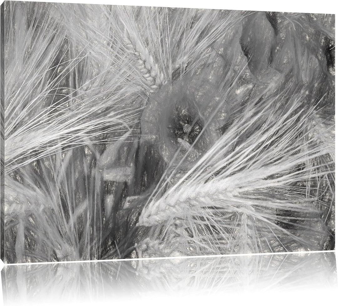 Pixxprint Mohnblumen auf dem Mais-Feld als Leinwandbild/Grösse: 100x70 / Wandbild/Kunstdruck/fertig