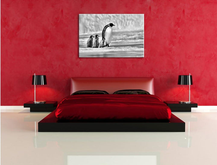 Pixxprint Monocrome, Kaiserpinguine im Schnee, Format: 100x70 auf Leinwand, riesige Bilder fertig ge