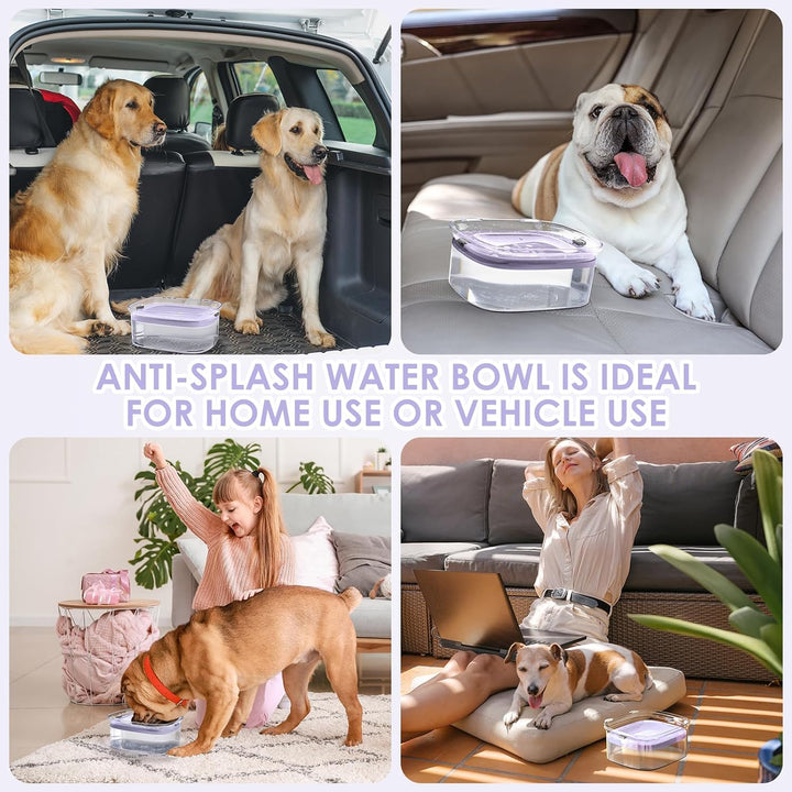 Hunde Wassernapf ohne Verschütten, Knapp 2.5L Grosser Auslaufsicherer Hundenapf, Anti-Spritz Wassers