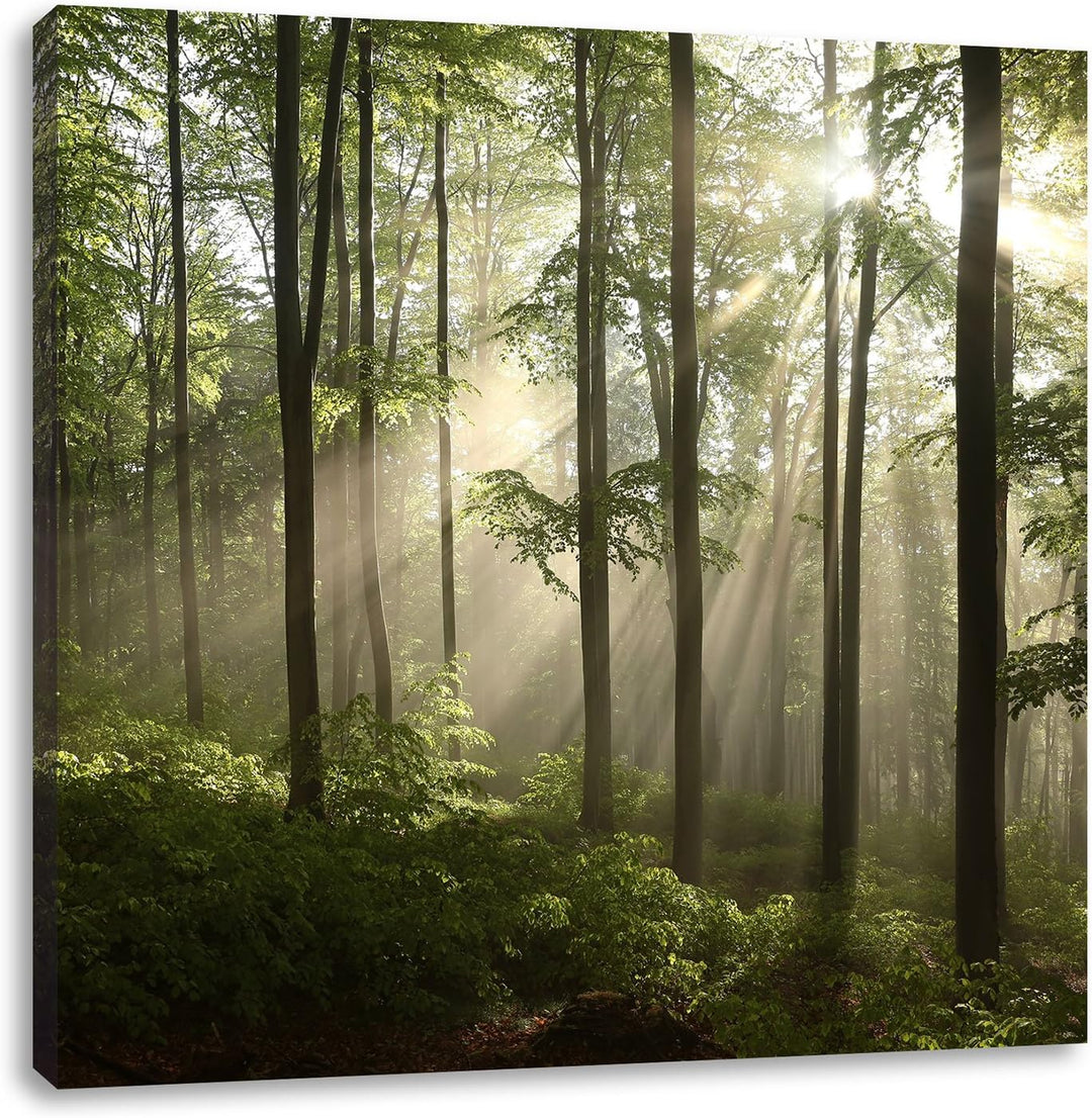 Sonnenstrahlen im Wald, Format: 70x70 auf Leinwand, XXL riesige Bilder fertig gerahmt mit Keilrahmen