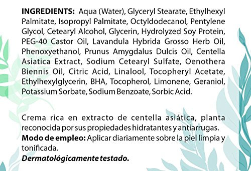 ALGOLOGIE Concealer, 50 ml