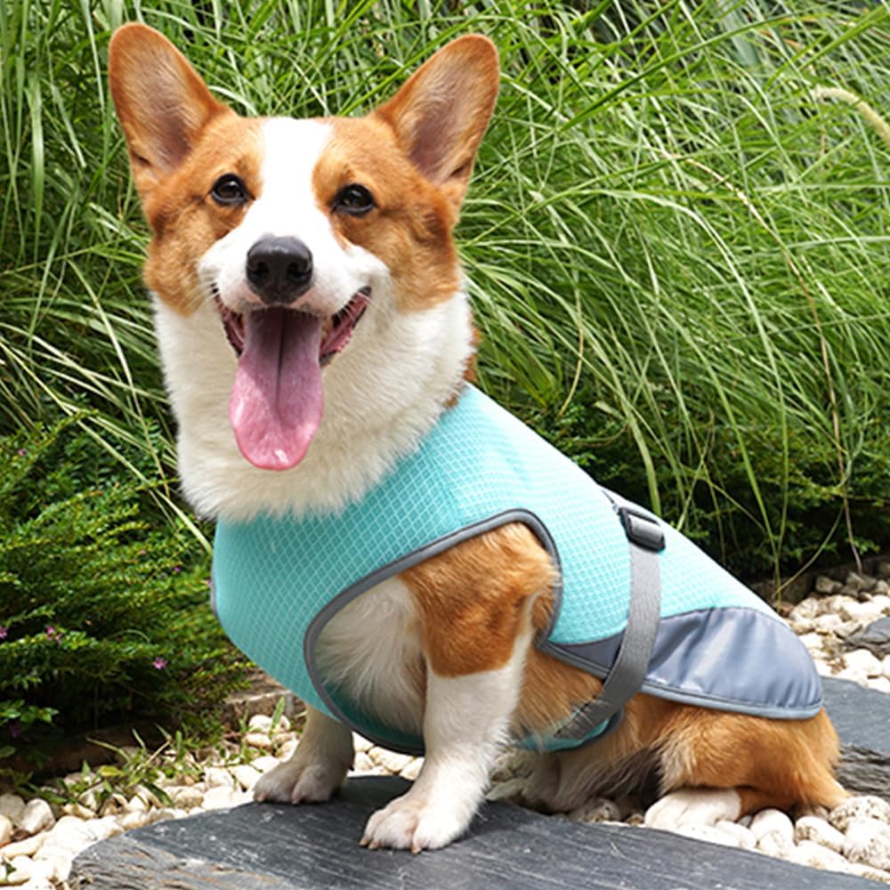 Hunde Kühlweste, Hundekühljacke Hundekühlmantel mit Verstellbarer Schnalle für Outdoor Jagdtraining,