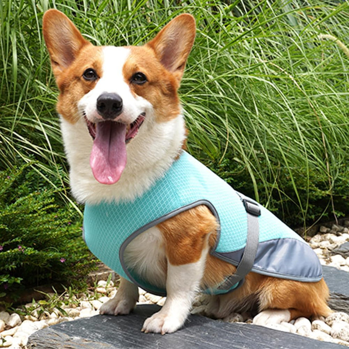 Hunde Kühlweste, Hundekühljacke Hundekühlmantel mit Verstellbarer Schnalle für Outdoor Jagdtraining,