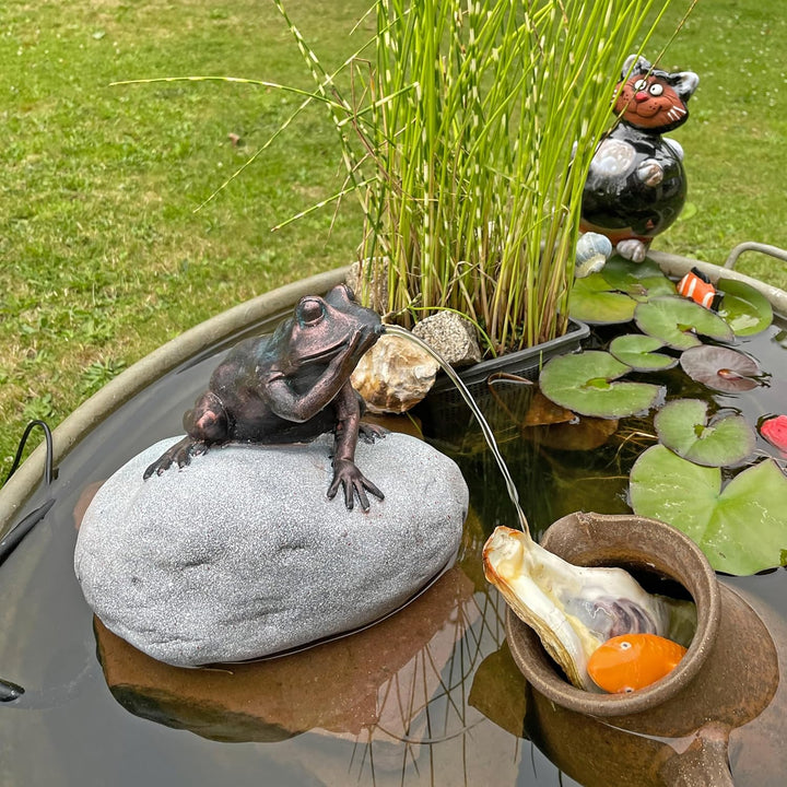 Wasserspeier Komplettset Frosch auf einem Stein NSP10E mit strombetriebener 12V Pumpe Springbrunnen
