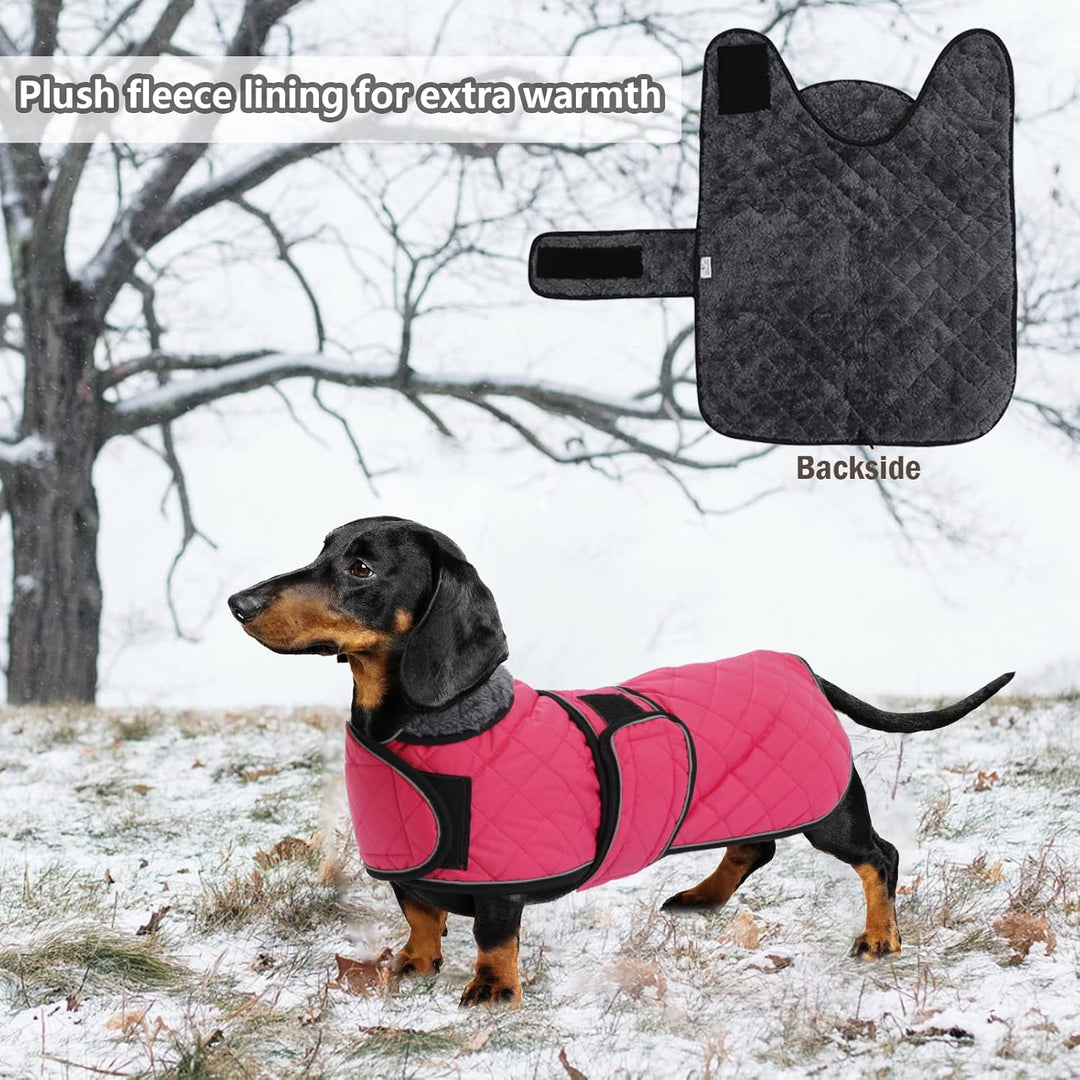 Geyecete - Warmer wintermantel für dackel Hunde,Hunde Winterjacken mit plüschfutter,Outdoor jacken m