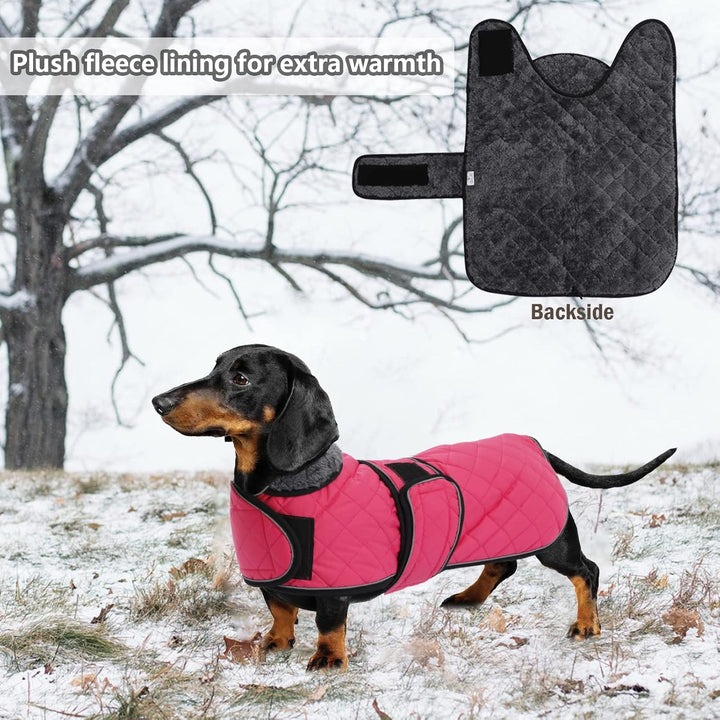 Geyecete - Warmer wintermantel für dackel Hunde,Hunde Winterjacken mit plüschfutter,Outdoor jacken m