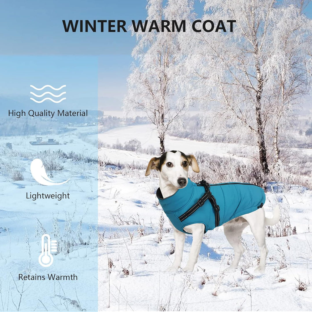 Pethiy -Super Warm Hunde wintermäntel mit Geschirr, Hundejacke mit Innenfleece, Wasserdichte Kleine