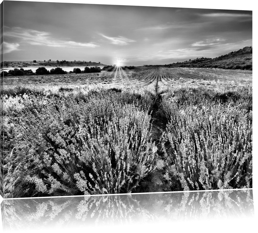 Pixxprint Lavendelfeld in Frankreich als Leinwandbild/Grösse: 100x70 / Wandbild/Kunstdruck/fertig be