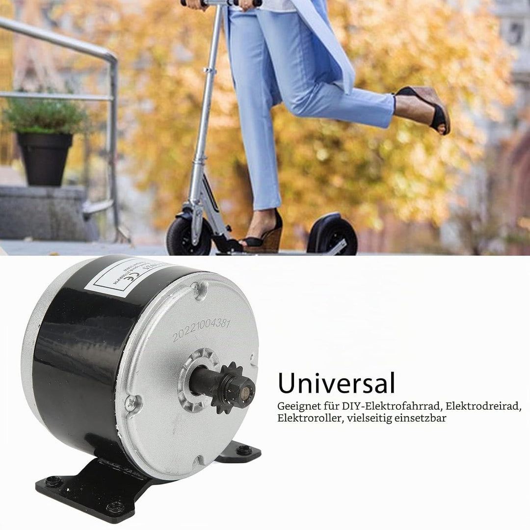 Wisecoco Gebürsteter Elektromotor, 24V 250W Elektrofahrrad, Gebürsteter Motor, Elektroroller, Hochge